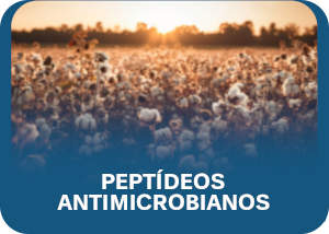 Antimicrobiano A