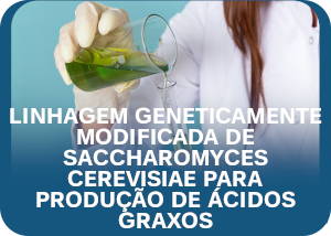 Acidos Graxos PDH ByPASS A